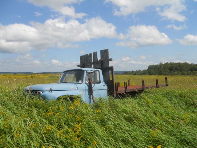 This blue flatbed truck is featured in a poem in Skylandia: Farm Poetry from Maine about Rivera's grandmother, DeLores. 