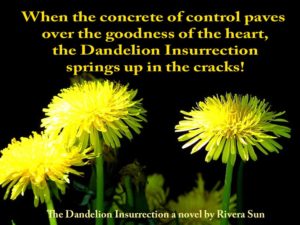 “Midwife to Change” from The Dandelion Insurrection